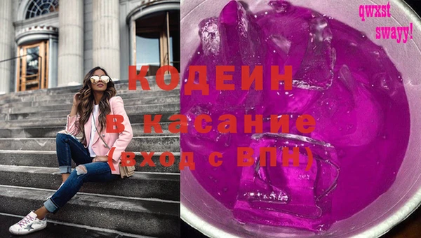 сатива Надым