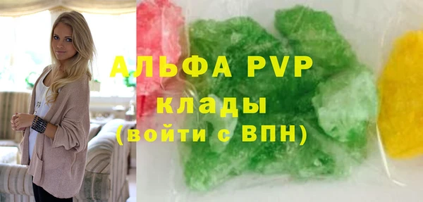 сатива Надым