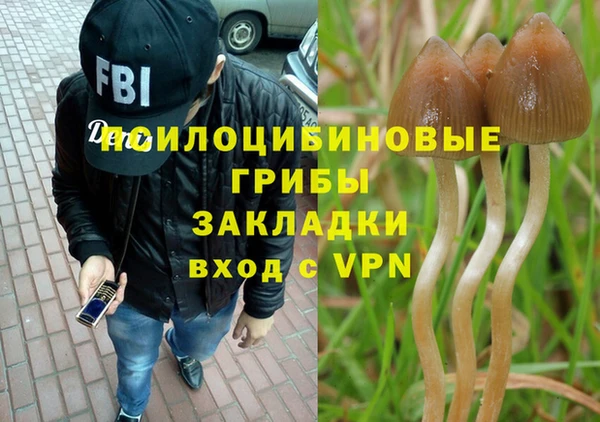 сатива Надым