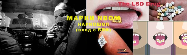 сатива Надым