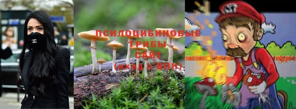 сатива Надым