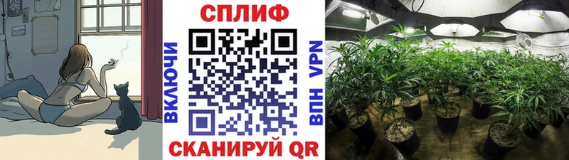 Канабис Amnesia  кракен сайт  Новоузенск 